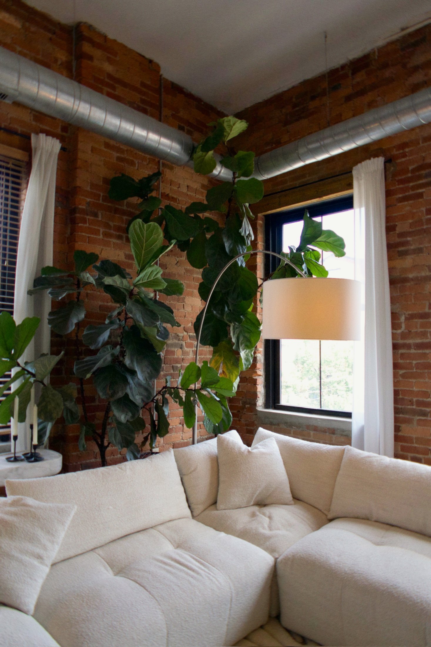 Warm living room with exposed brick, wood ceiling, and abundant greenery