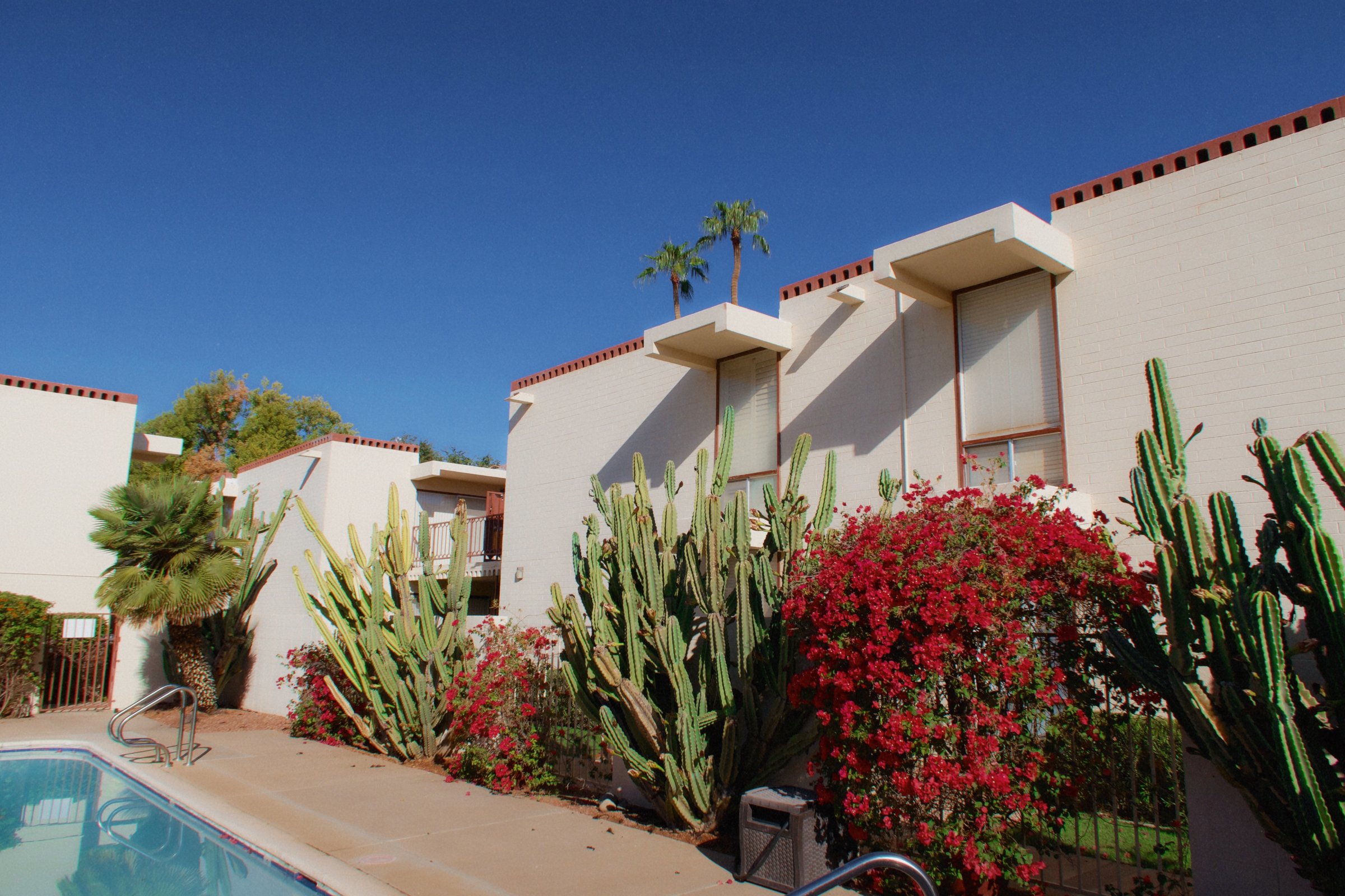 Desert pool and courtyard framed by cactus and bougainvillea