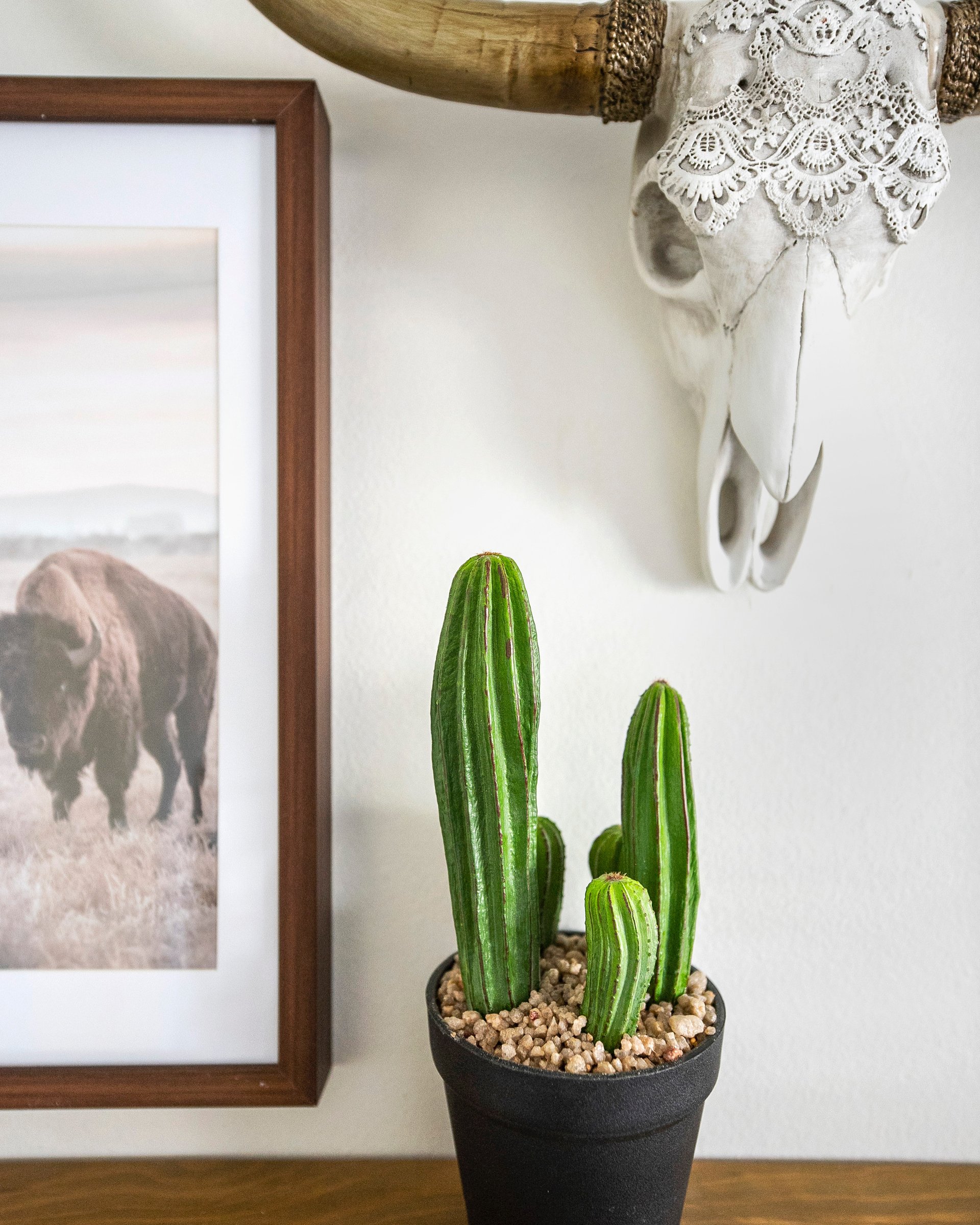 Framed bison artwork and cactus styling detail