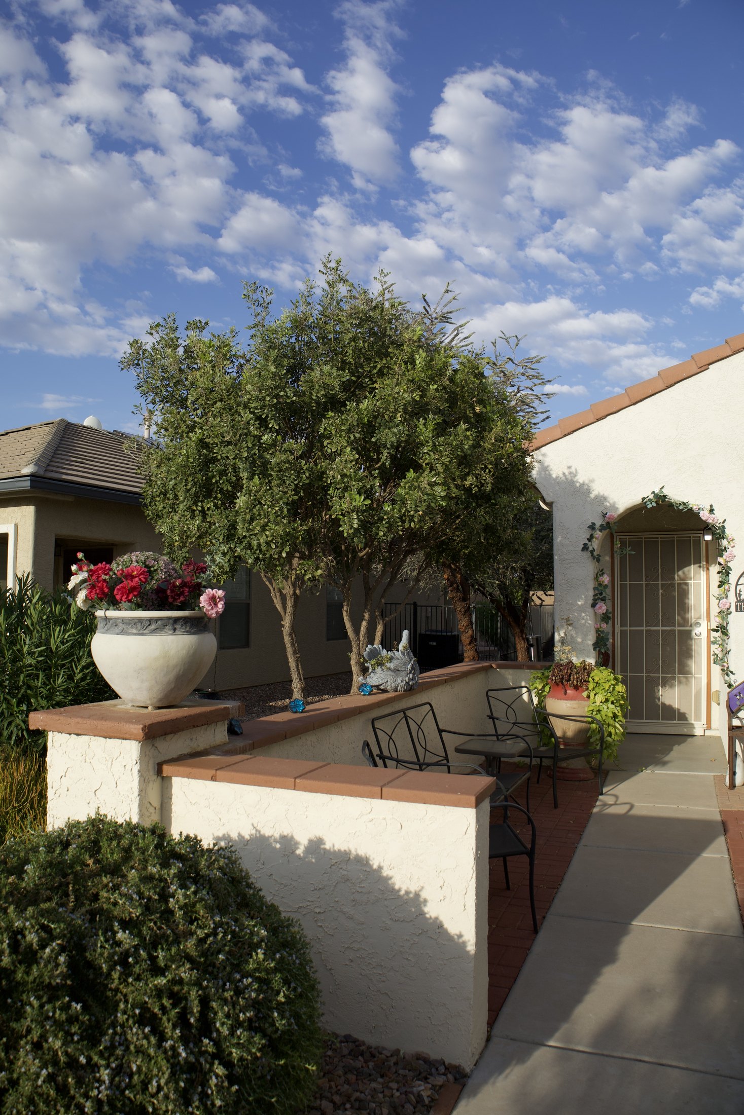 Old Town Scottsdale courtyard with desert landscaping and mature trees