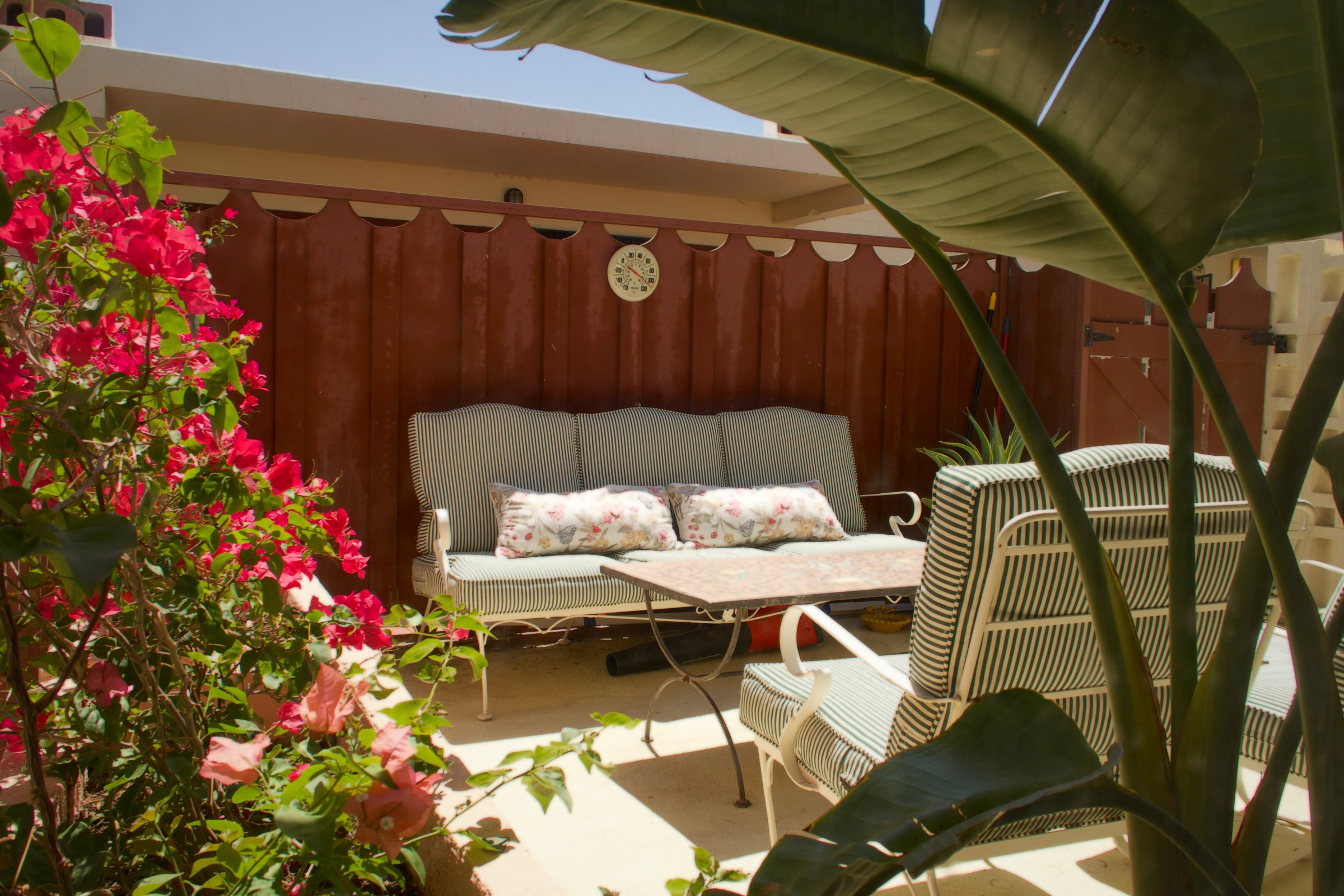 Arizona patio framed by bougainvillea and tropical planting